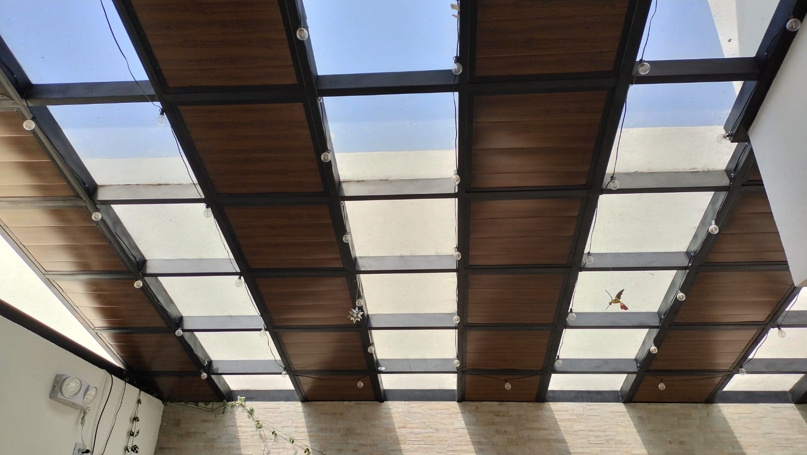 whatsapp image 2026 01 09 at 8.03.55 pm